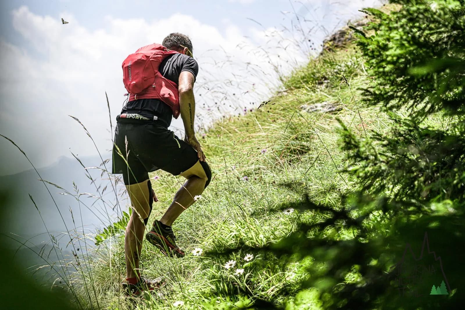 Trail trčanje